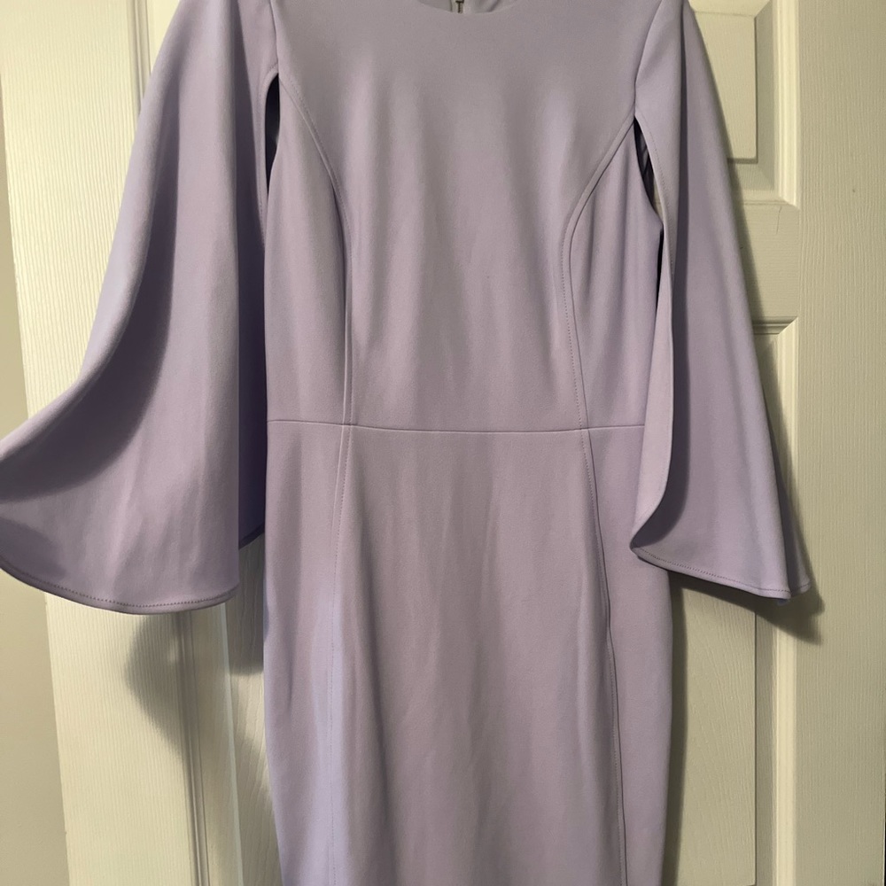 Calvin Klein Drape Sleeve Dress